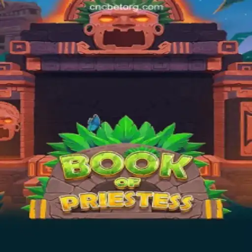Discover the Enchanting World of BookOfPriestess: A New Revolution in Brazilian Online Gaming